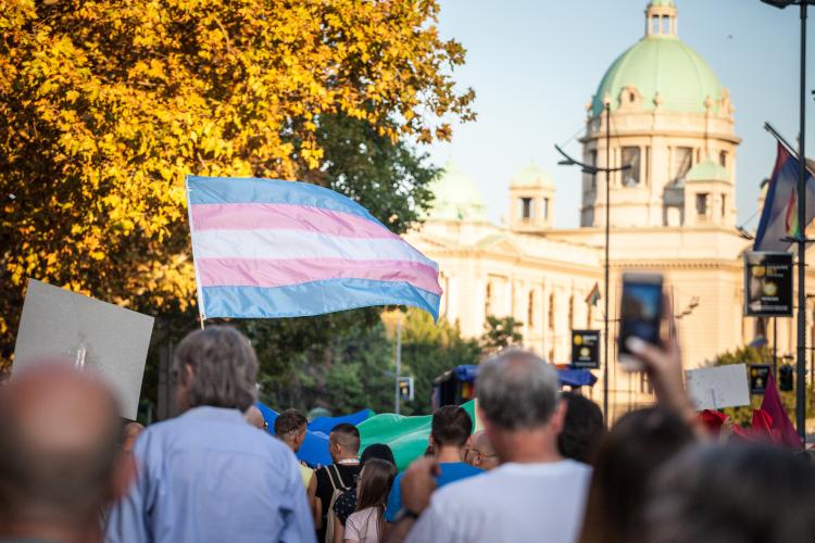Trans flag at protest