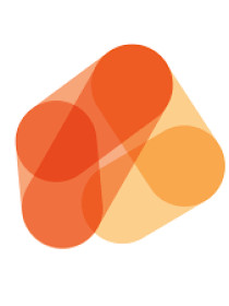 SSN logo