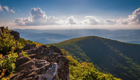 Virginia