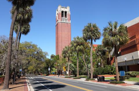 University of Florida 