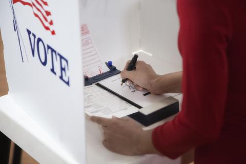 Person voting in a voting booth