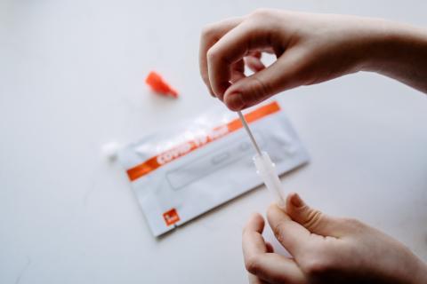 Person holding swab and plastic container in Covid testing kit