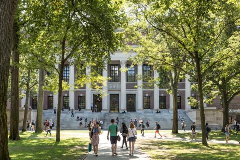 students walking around harvards campus 