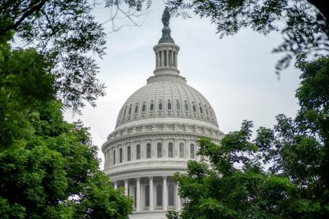 U.S. Capitol building, during day with trees around it 