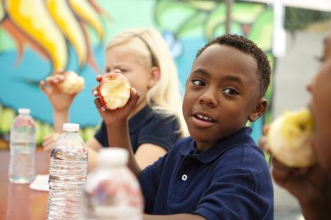 Elementary-aged boy eating apple during school lunch period