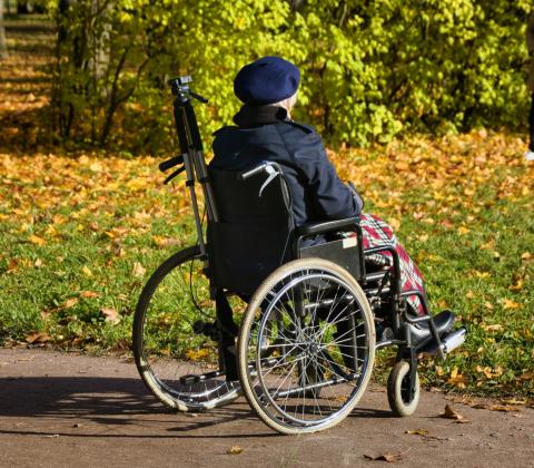 Person in a wheelchair 