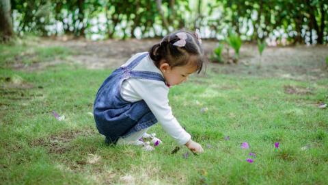 Toddler bending picking up flowers on grass 