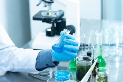 scientist working