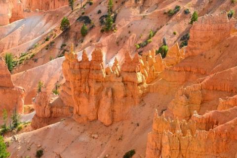 utah valley