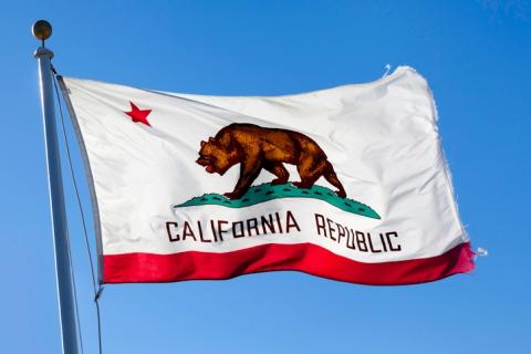 State of California flag