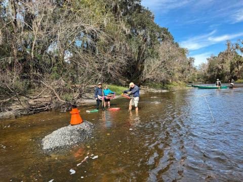 People fossil hunt in a river in Florida