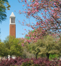 UAB Campus