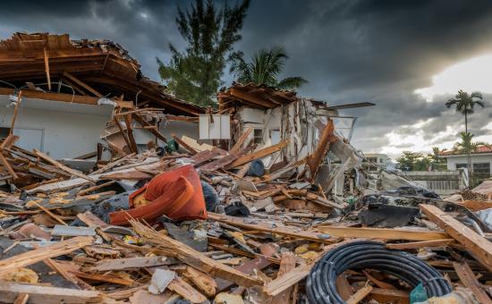 Natural Disaster