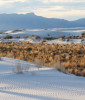White Sands National Park in New Mexico